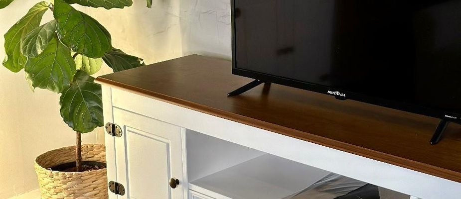 Plantas Ideais para sua Casa: Beleza, Bem-Estar e Estilo