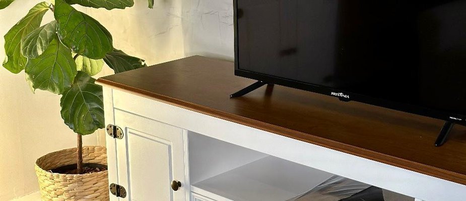 Plantas Ideais para sua Casa: Beleza, Bem-Estar e Estilo